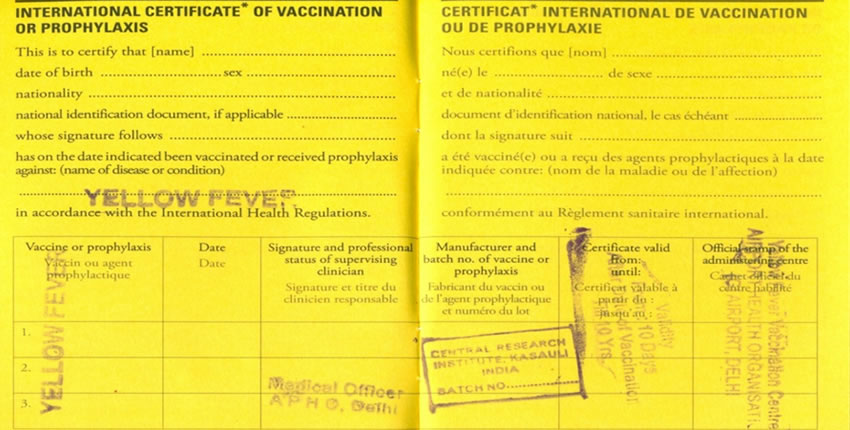 Yellow fever card